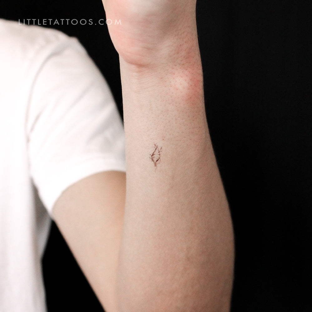 Tulip Shell By Stefano Mazza Temporary Tattoo - Set of 3
