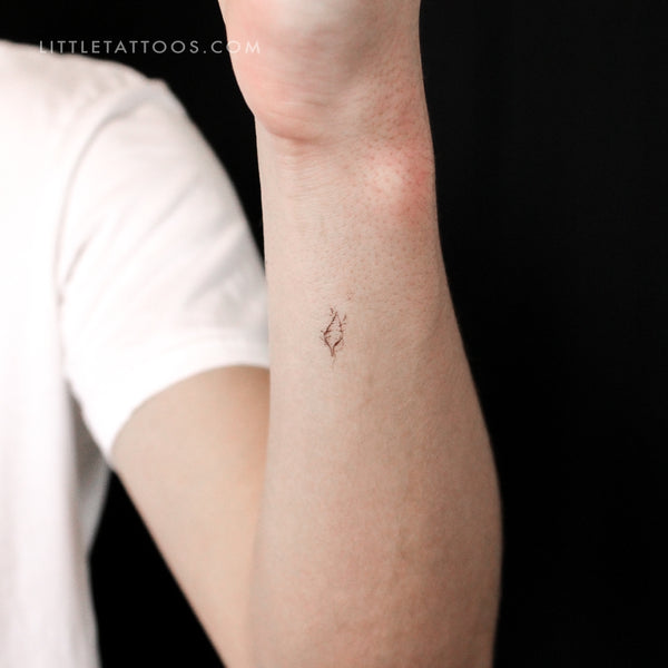 Tulip Shell By Stefano Mazza Temporary Tattoo - Set of 3