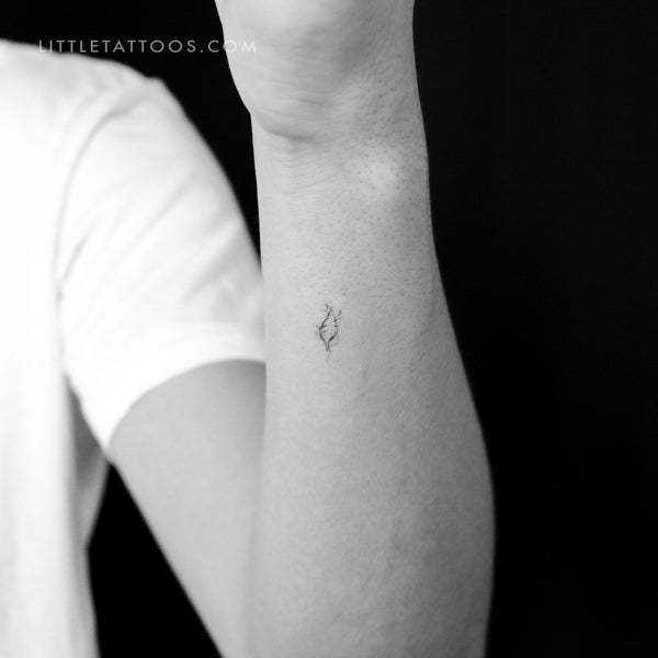 Tulip Shell By Stefano Mazza Temporary Tattoo - Set of 3