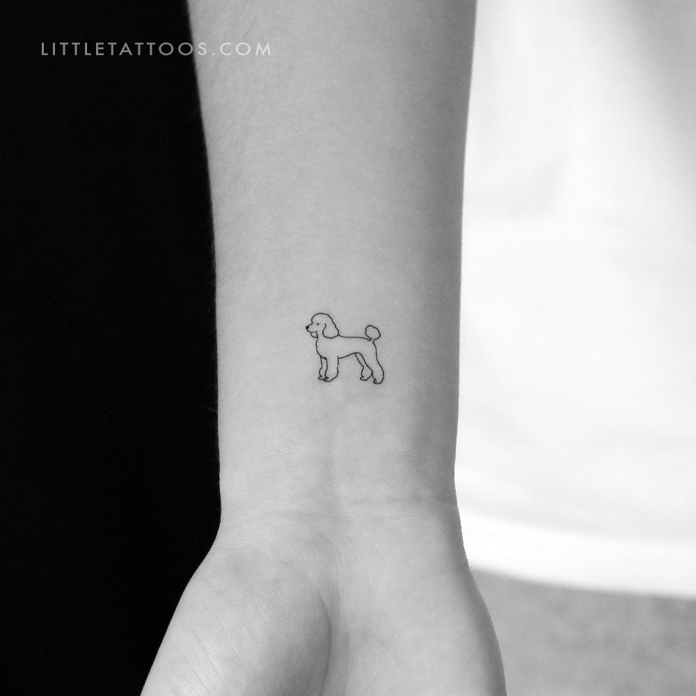 Tatuaje temporal de caniche pequeño - Juego de 3