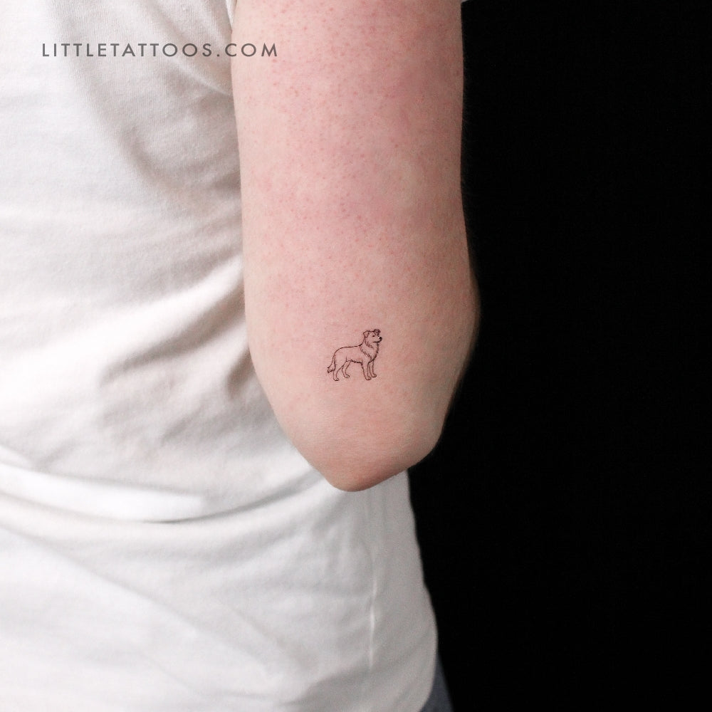 Minimalist Border Collie Temporary Tattoo - Set of 3