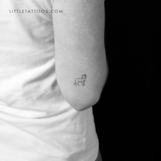 Minimalist Border Collie Temporary Tattoo - Set of 3