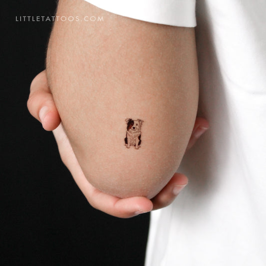 Border Collie Temporary Tattoo - Set of 3