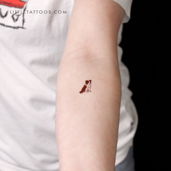 Chocolate Border Collie Temporary Tattoo - Set of 3