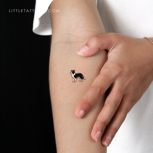 Black And White Border Collie Temporary Tattoo - Set of 3