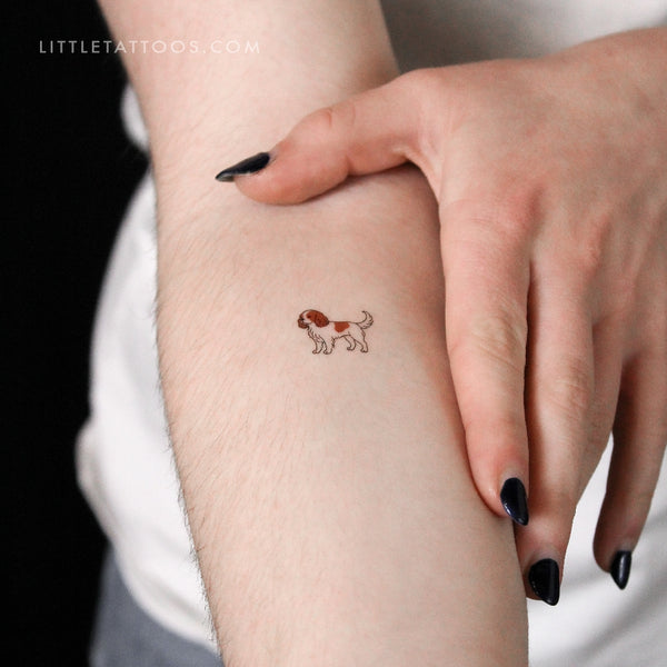 Blenheim Cavalier King Charles Spaniel Temporary Tattoo - Set of 3