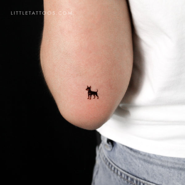 Tatuaje temporal de pinscher - Juego de 3