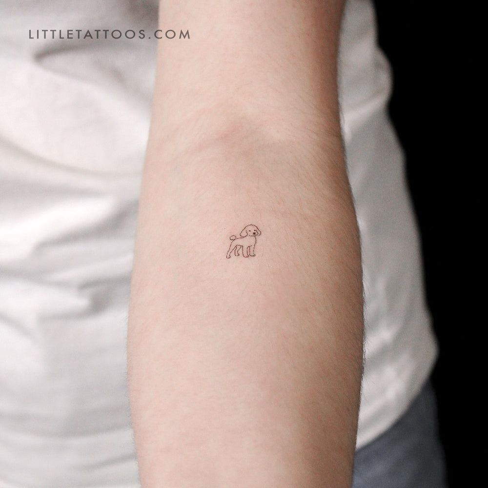Miniature Poodle Temporary Tattoo - Set of 3