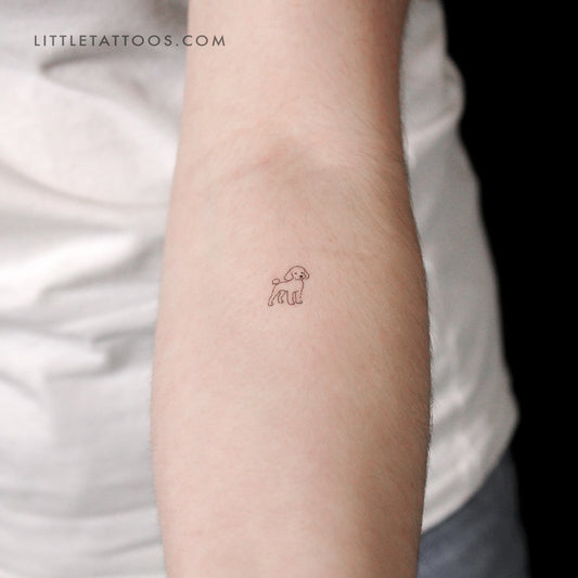 Miniature Poodle Temporary Tattoo - Set of 3