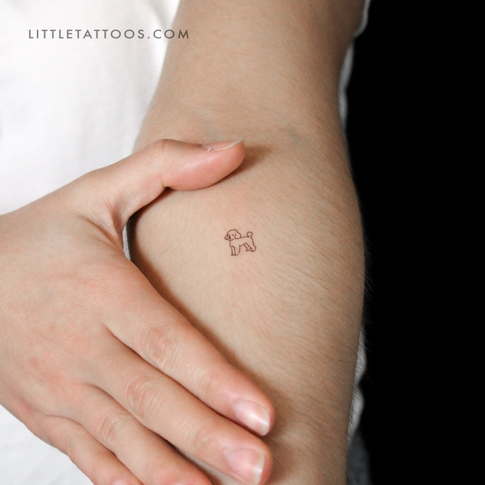 Tatuaje temporal de caniche toy - Juego de 3
