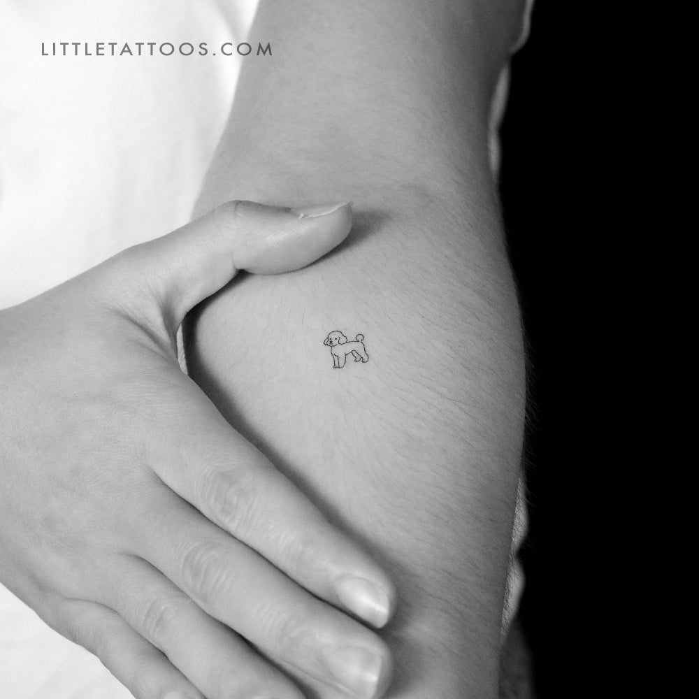 Tatuaje temporal de caniche toy - Juego de 3