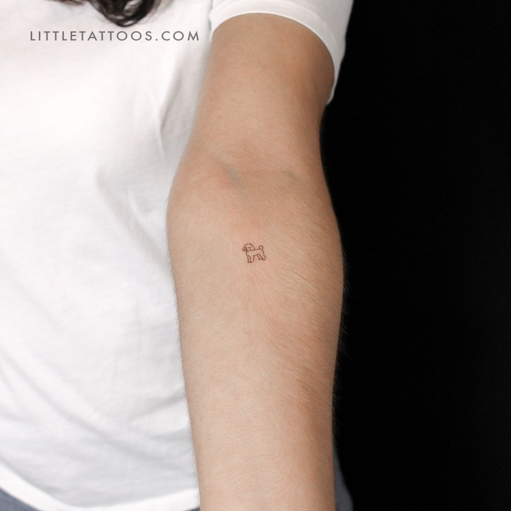 Tatuaje temporal de caniche toy - Juego de 3