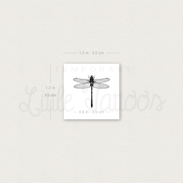 Illustrative Dragonfly Temporary Tattoo - Set of 3