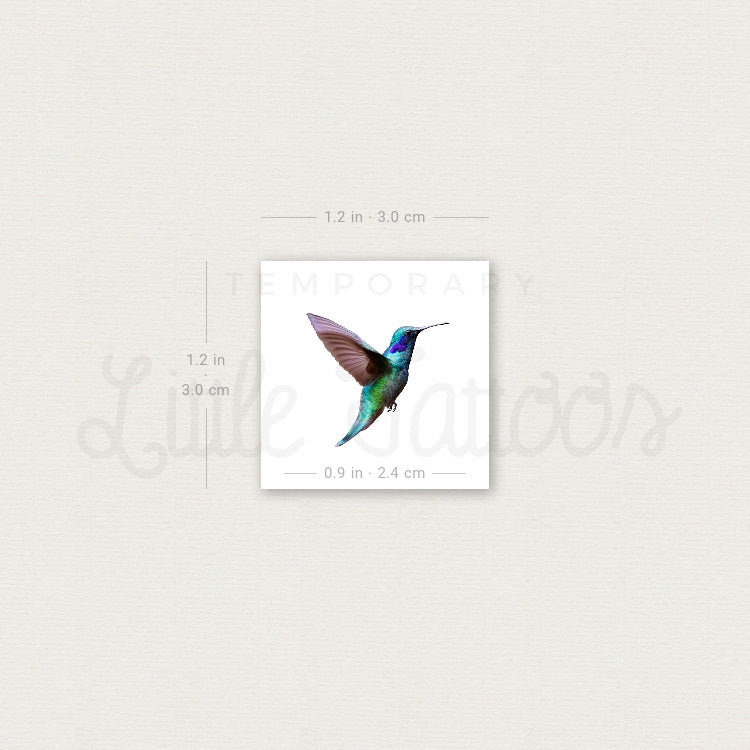 Tatuaje temporal de colibrí realista - Juego de 3