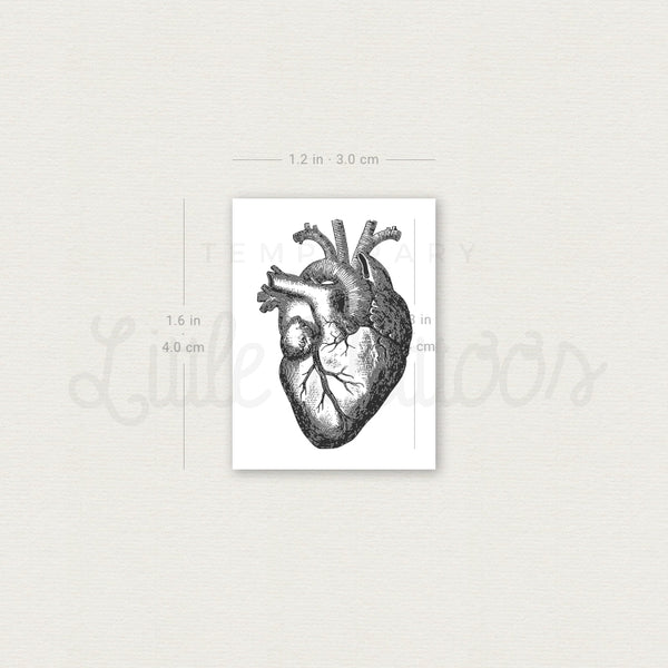 Engraving Anatomical Heart Temporary Tattoo - Set of 3