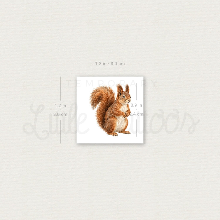Watercolor Squirrel Temporary Tattoo - Set of 3