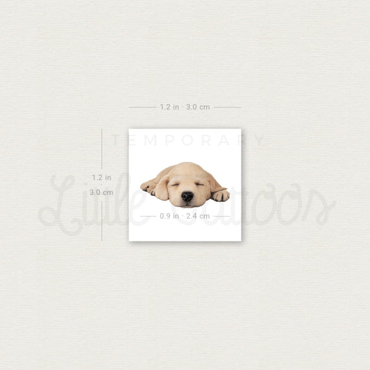 Sleeping Labrador Retriever Temporary Tattoo - Set of 3