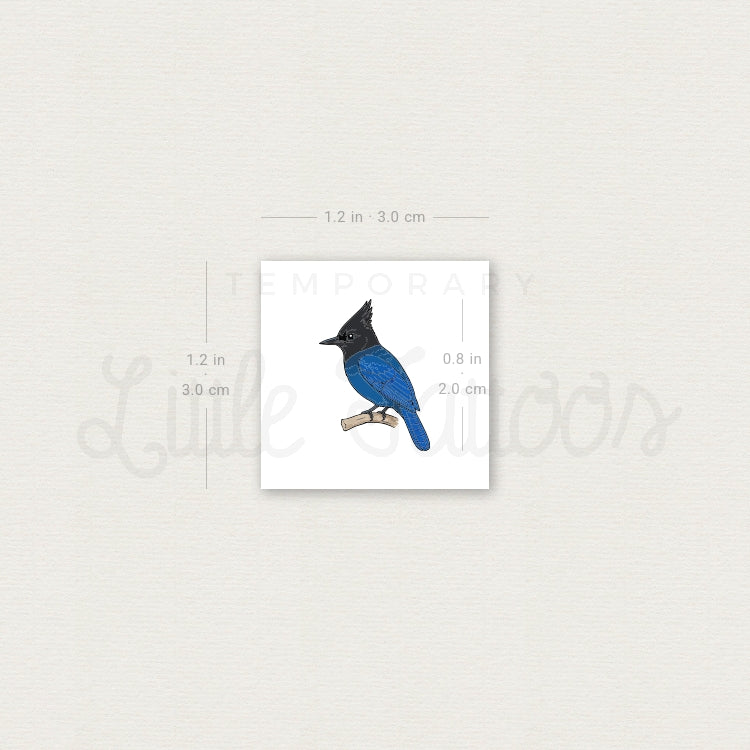 Steller's Jay Temporary Tattoo - Set of 3