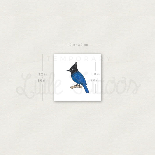 Steller's Jay Temporary Tattoo - Set of 3
