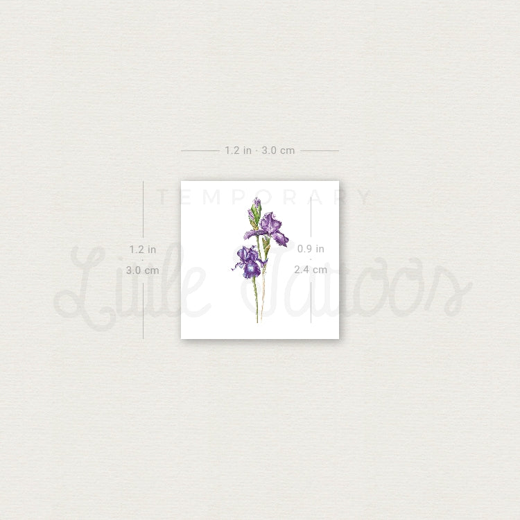 Small Iris By Mini Lau Temporary Tattoo - Set of 3