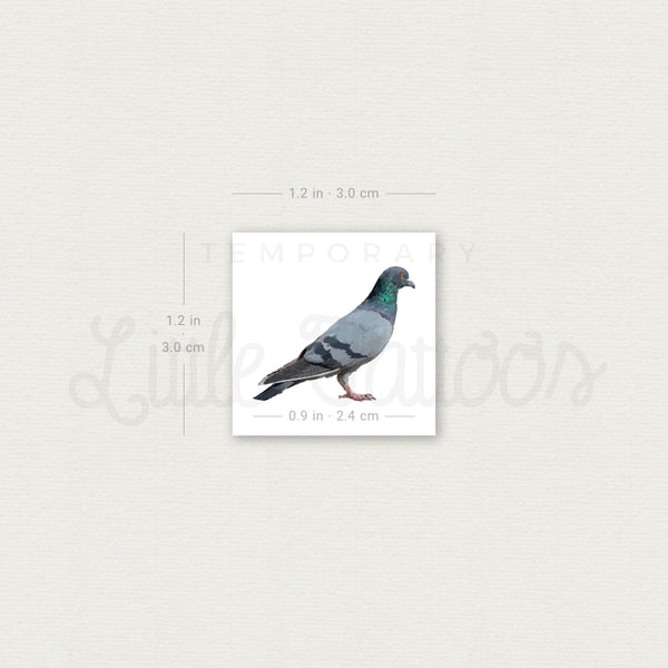 Pigeon Temporary Tattoo - Set of 3