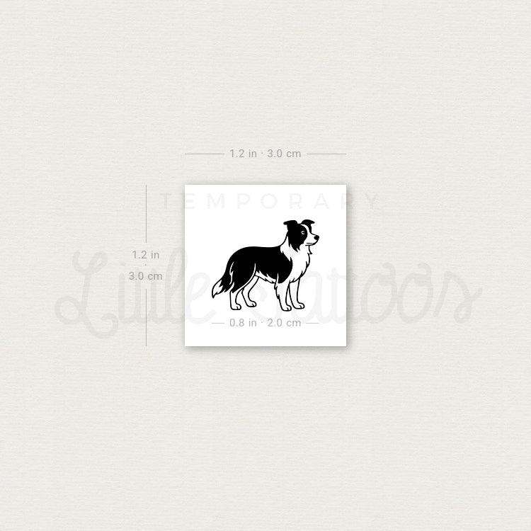Tatuaje temporal de border collie en blanco y negro (juego de 3)