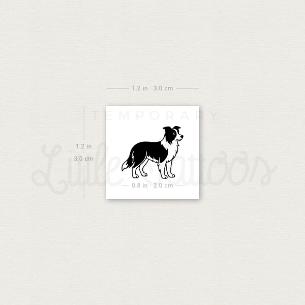 Black And White Border Collie Temporary Tattoo - Set of 3