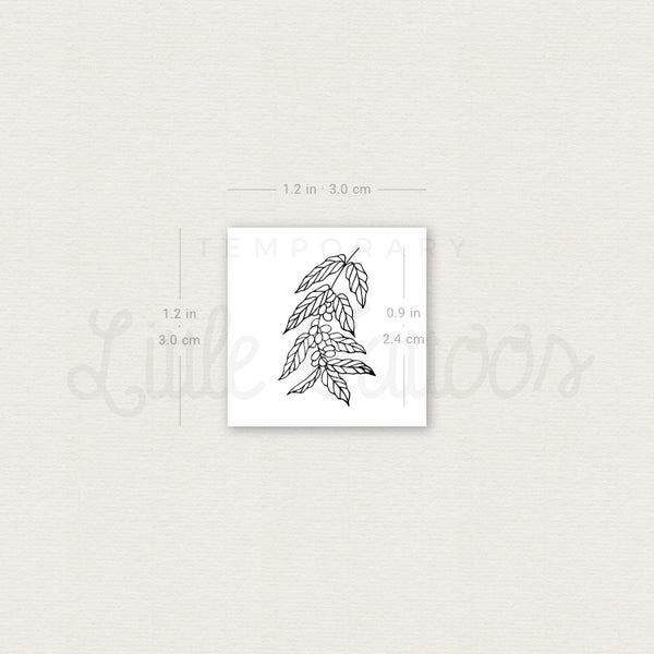 Coffea Plant Temporary Tattoo - Set of 3