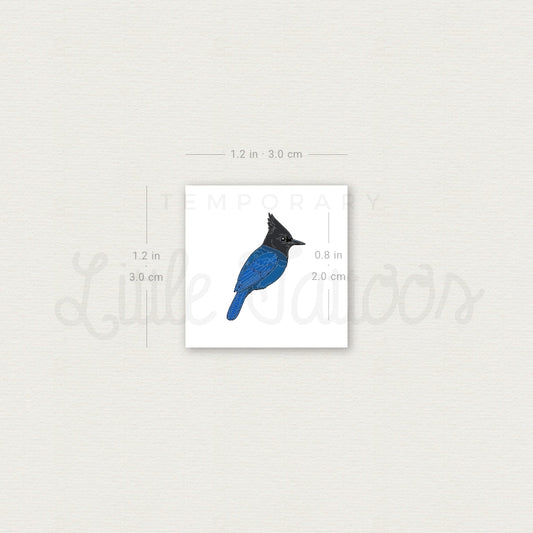 Little Steller's Jay Temporary Tattoo - Set of 3