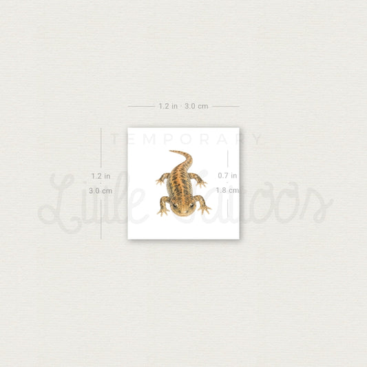 Salamander Temporary Tattoo - Set of 3