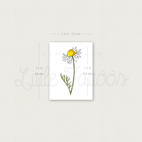 Chamomile By Ann Lilya Temporary Tattoo - Set of 3