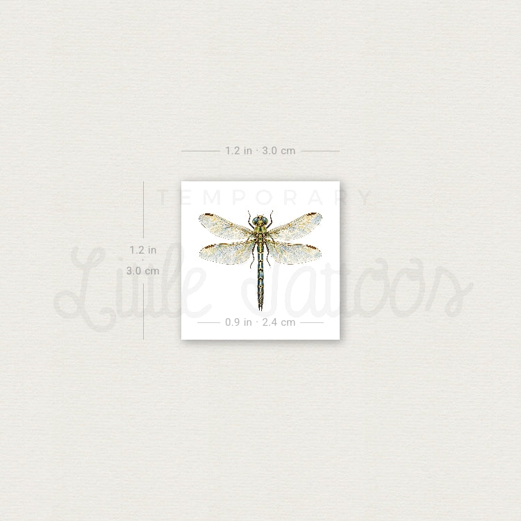 Watercolor Dragonfly Temporary Tattoo - Set of 3