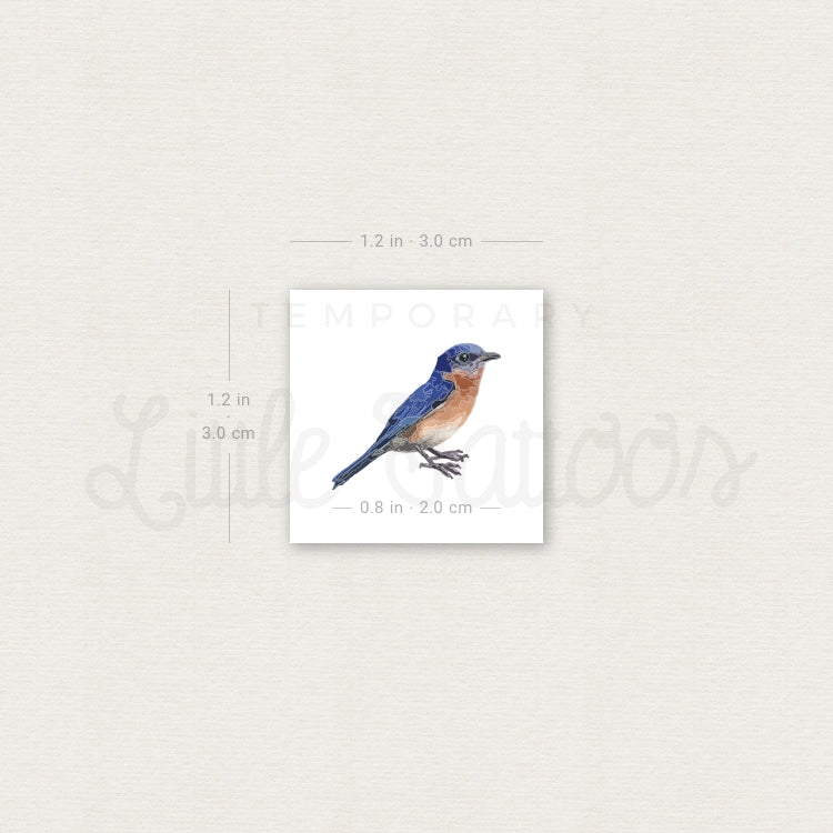 Eastern Bluebird Temporary Tattoo - Set of 3
