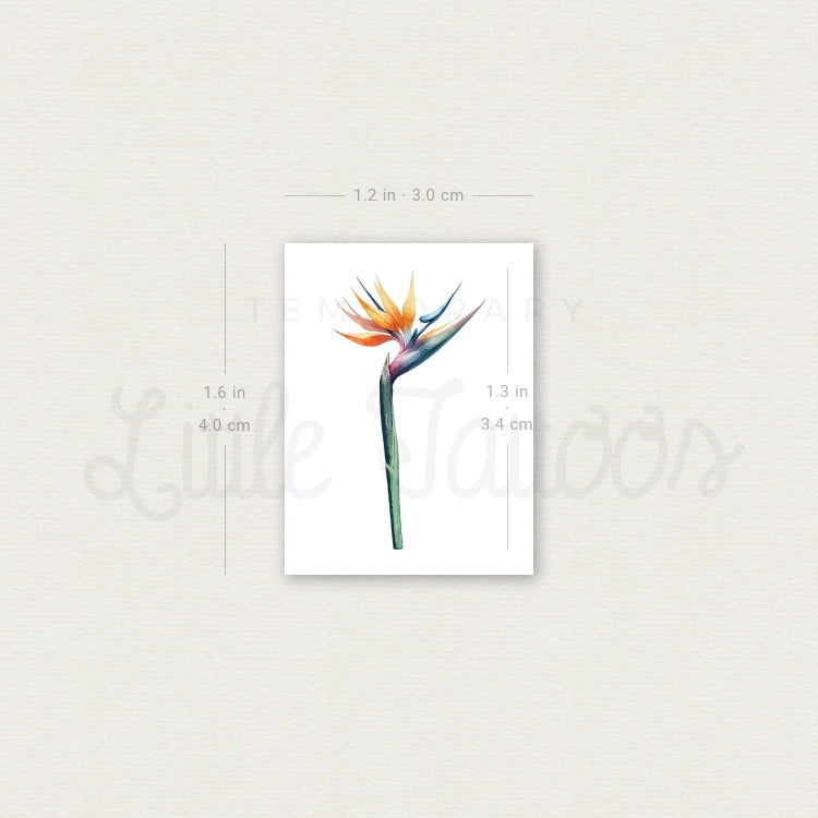 Small Watercolor Strelitzia Temporary Tattoo - Set of 3