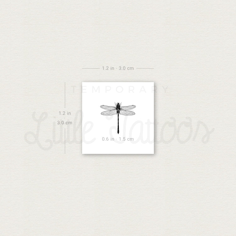 Little Dragonfly Temporary Tattoo - Set of 3
