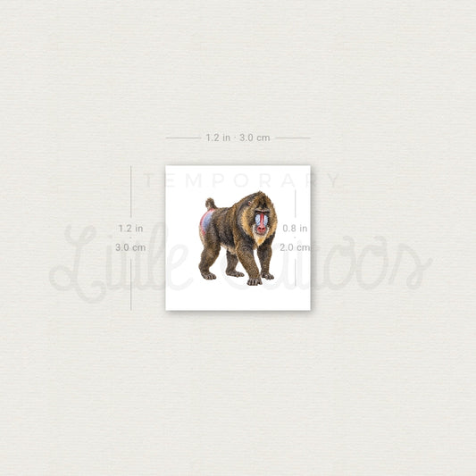 Mandrill Temporary Tattoo - Set of 3