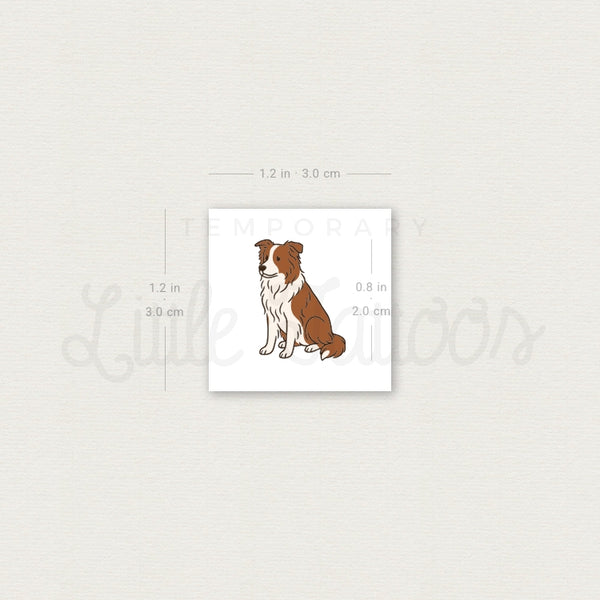 Chocolate Border Collie Temporary Tattoo - Set of 3