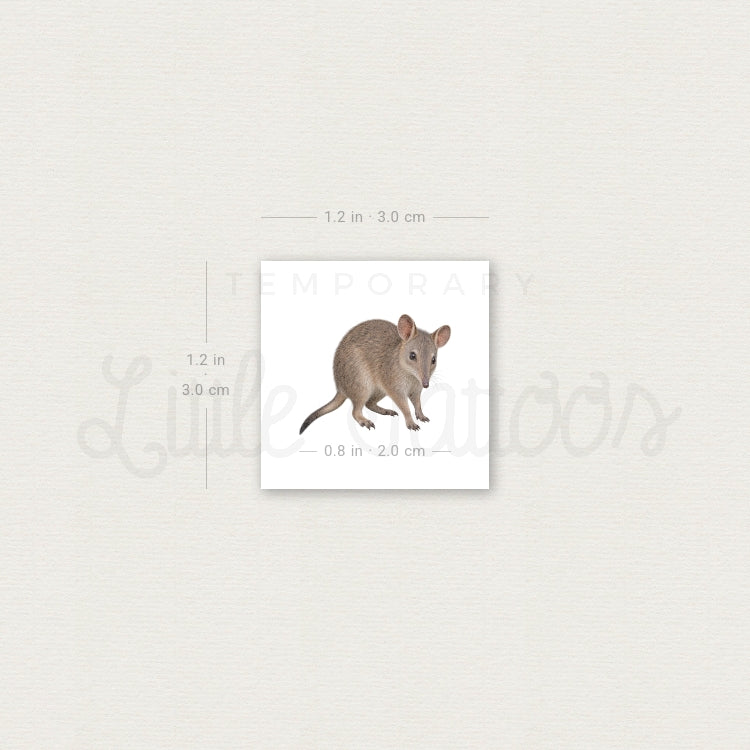 Bandicoot Temporary Tattoo - Set of 3