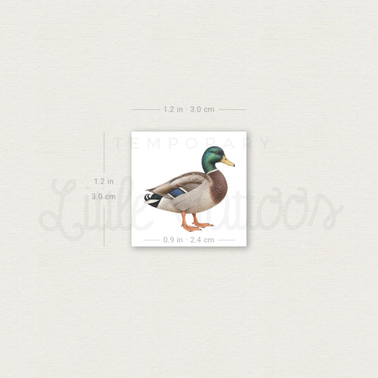 Mallard Temporary Tattoo - Set of 3