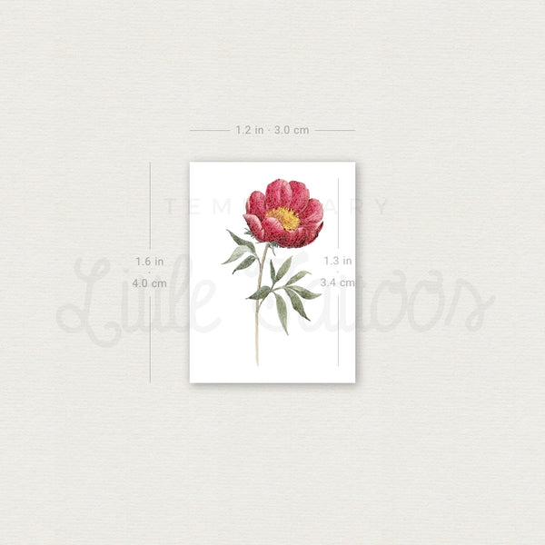 Garnet Peony Temporary Tattoo - Set of 3