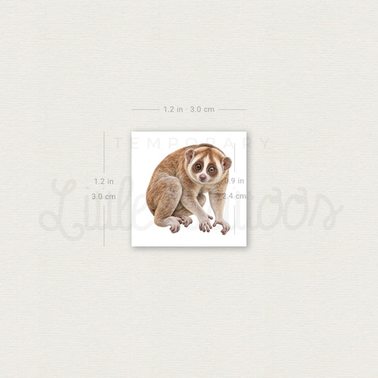 Slow Loris Temporary Tattoo - Set of 3