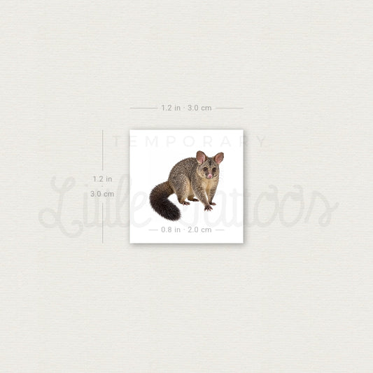 Possum Temporary Tattoo - Set of 3