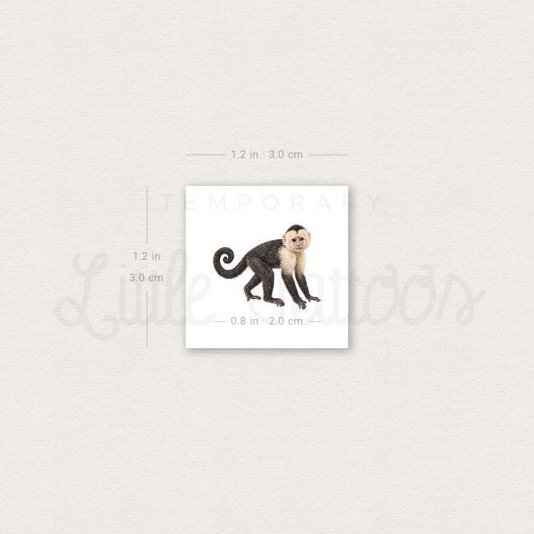 Capuchin Monkey Temporary Tattoo - Set of 3