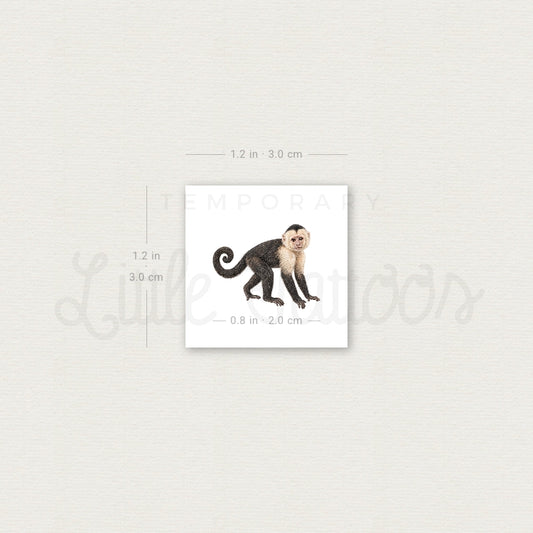 Capuchin Monkey Temporary Tattoo - Set of 3