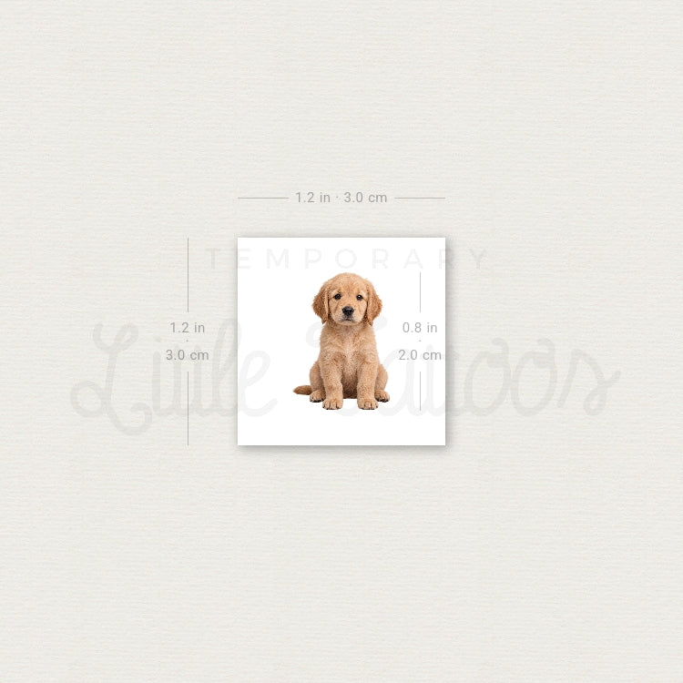 Seated Golden Retriever Puppy Temporary Tattoo - Set of 3