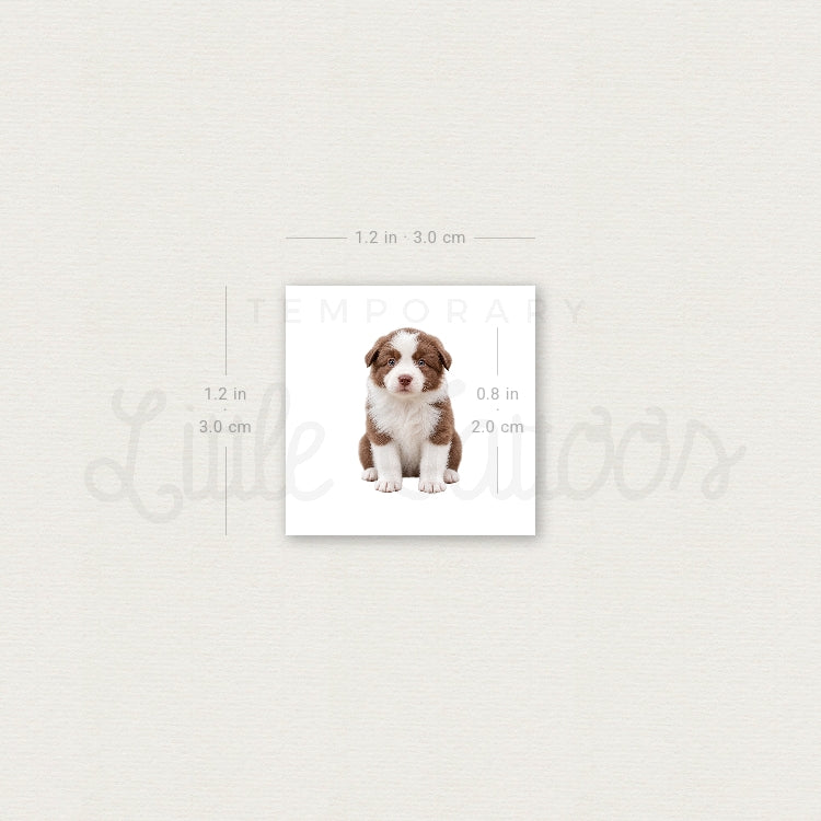 Chocolate Border Collie Puppy Temporary Tattoo - Set of 3