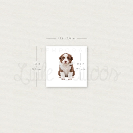 Chocolate Border Collie Puppy Temporary Tattoo - Set of 3