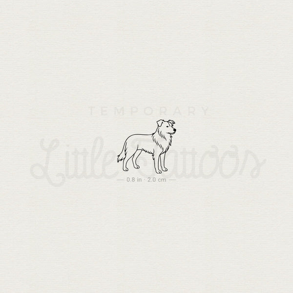Minimalist Border Collie Temporary Tattoo - Set of 3