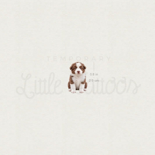 Chocolate Border Collie Puppy Temporary Tattoo - Set of 3
