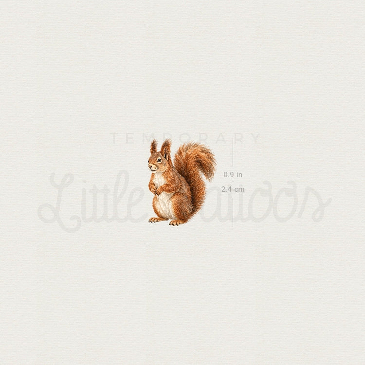 Watercolor Squirrel Temporary Tattoo - Set of 3